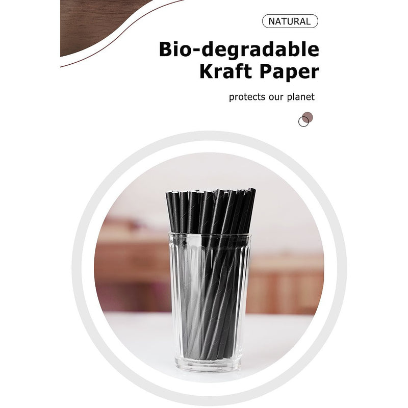 5.9" 4-Layer Bio-degradable Unwrapped Cocktail Paper Straw - 100/Pack - TheBuyersClub.ca