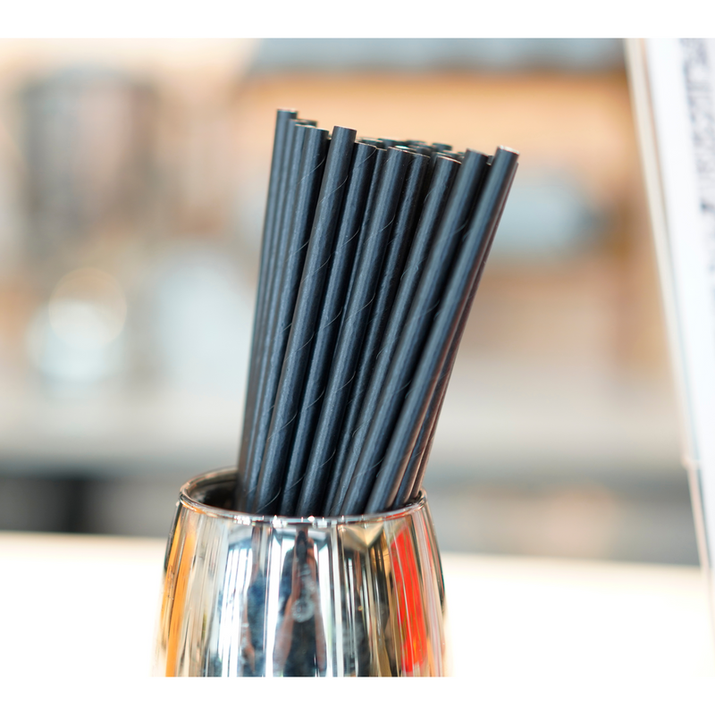 5.9" 4-Layer Bio-degradable Unwrapped Cocktail Paper Straw - 100/Pack - TheBuyersClub.ca